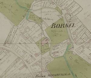 bornel60