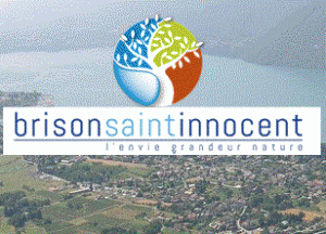 brisonsaintinnocent73